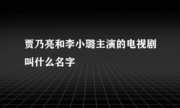 贾乃亮和李小璐主演的电视剧叫什么名字