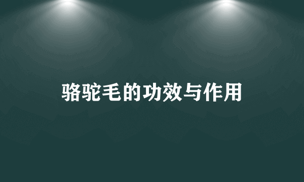 骆驼毛的功效与作用