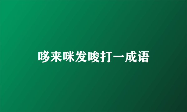 哆来咪发唆打一成语