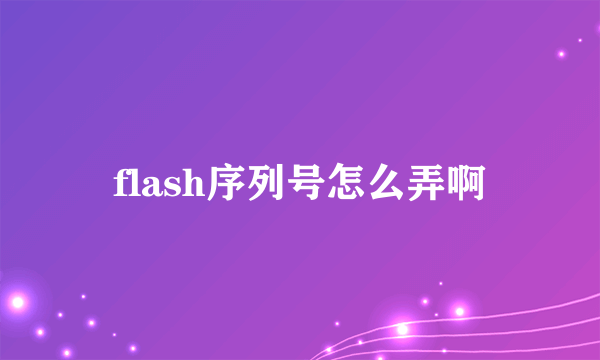 flash序列号怎么弄啊