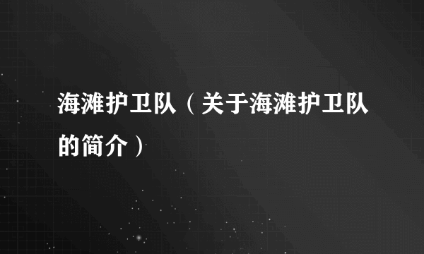 海滩护卫队（关于海滩护卫队的简介）