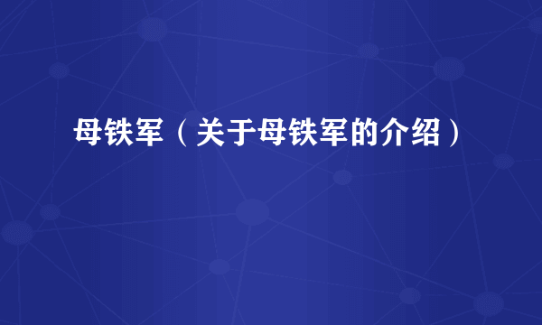 母铁军（关于母铁军的介绍）