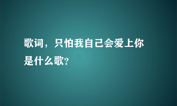 歌词，只怕我自己会爱上你 是什么歌？