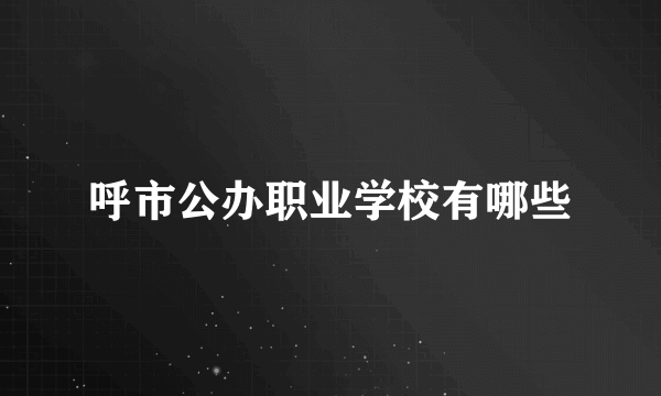 呼市公办职业学校有哪些