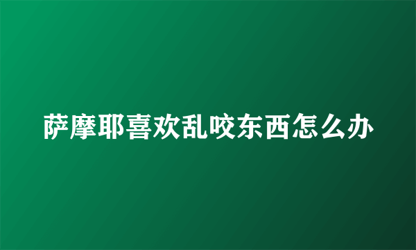 萨摩耶喜欢乱咬东西怎么办