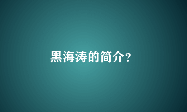 黑海涛的简介？