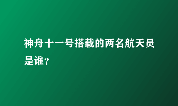 神舟十一号搭载的两名航天员是谁？