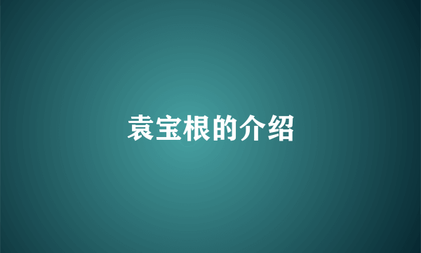 袁宝根的介绍