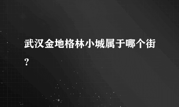 武汉金地格林小城属于哪个街？