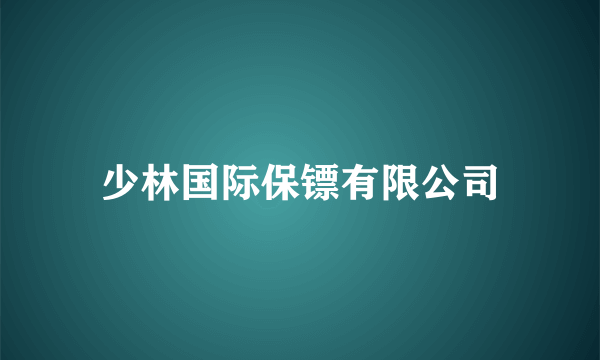 少林国际保镖有限公司