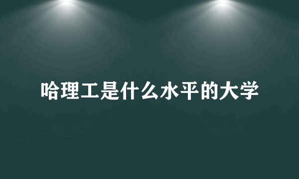 哈理工是什么水平的大学