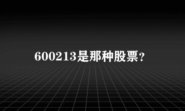 600213是那种股票？