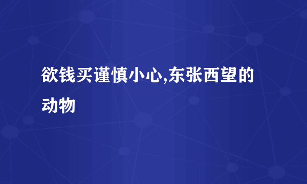 欲钱买谨慎小心,东张西望的动物