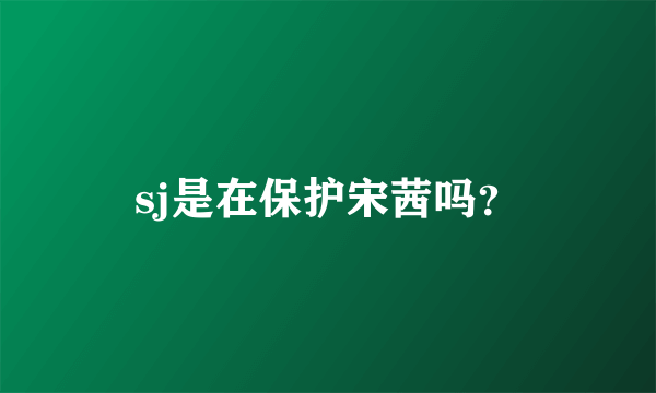 sj是在保护宋茜吗？