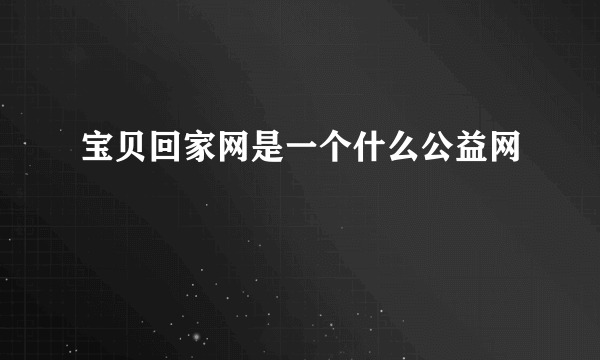 宝贝回家网是一个什么公益网