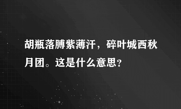 胡瓶落膊紫薄汗，碎叶城西秋月团。这是什么意思？