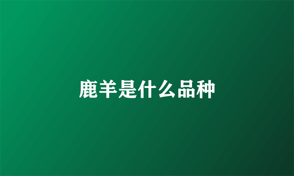 鹿羊是什么品种