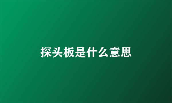 探头板是什么意思