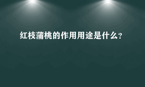 红枝蒲桃的作用用途是什么？