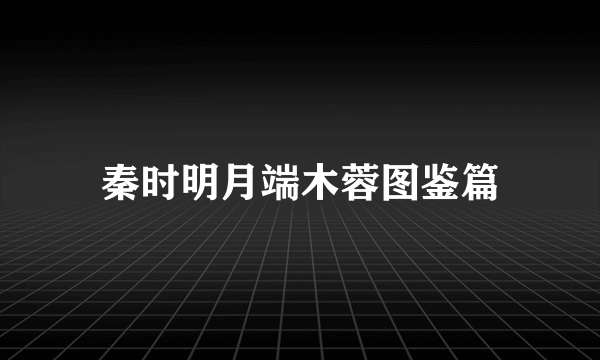 秦时明月端木蓉图鉴篇