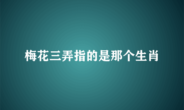 梅花三弄指的是那个生肖