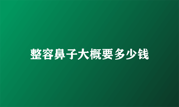 整容鼻子大概要多少钱