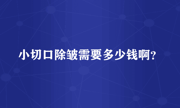 小切口除皱需要多少钱啊？