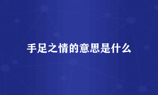 手足之情的意思是什么