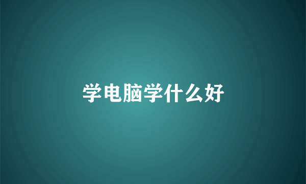 学电脑学什么好