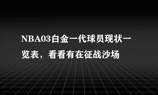 NBA03白金一代球员现状一览表，看看有在征战沙场