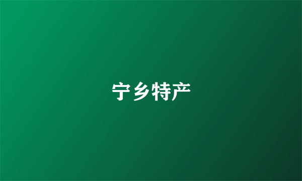 宁乡特产