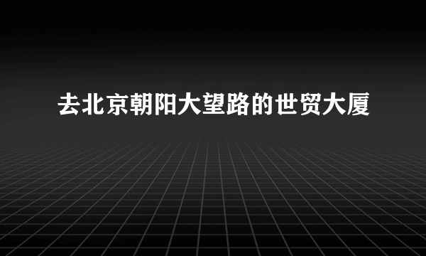 去北京朝阳大望路的世贸大厦