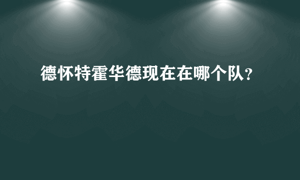 德怀特霍华德现在在哪个队？