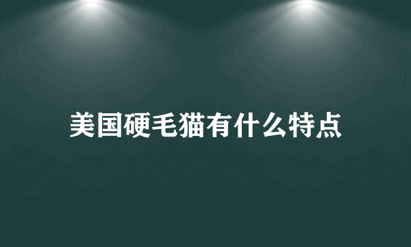 美国硬毛猫有什么特点