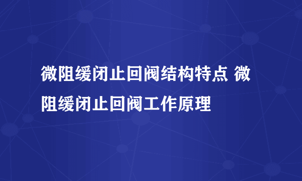 微阻缓闭止回阀结构特点 微阻缓闭止回阀工作原理