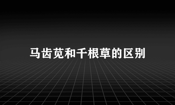 马齿苋和千根草的区别
