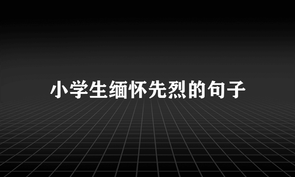 小学生缅怀先烈的句子