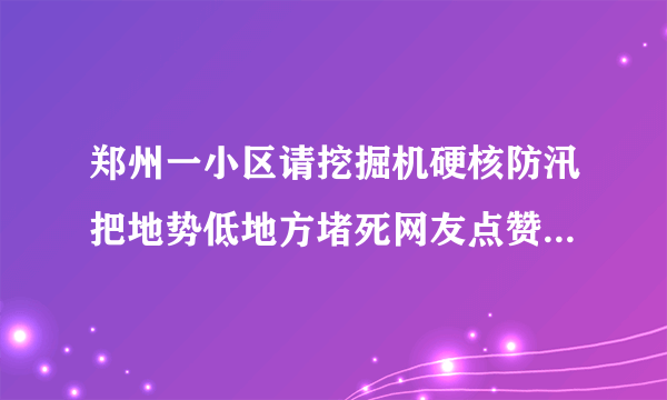 郑州一小区请挖掘机硬核防汛把地势低地方堵死网友点赞：有备无患-飞外