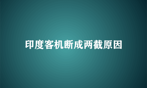 印度客机断成两截原因