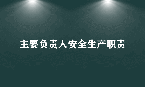 主要负责人安全生产职责