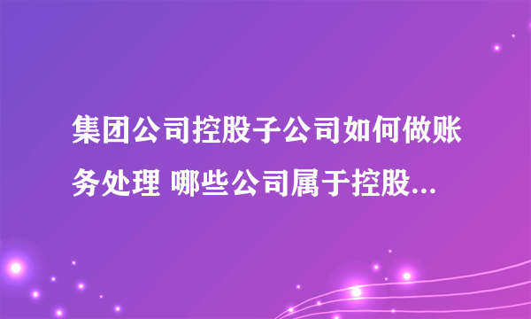 集团公司控股子公司如何做账务处理 哪些公司属于控股子公司的范围