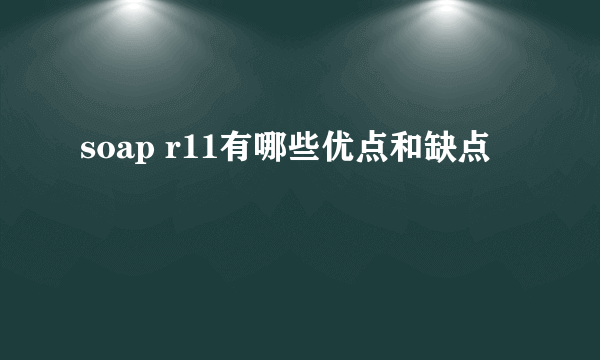 soap r11有哪些优点和缺点