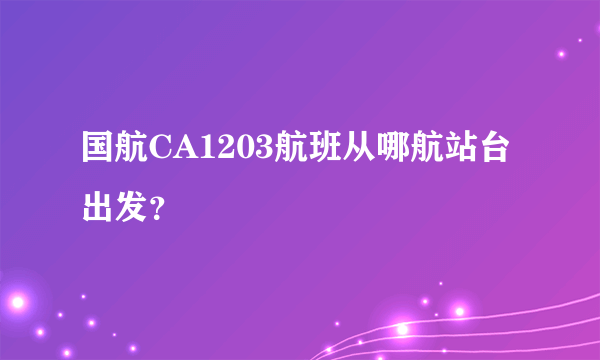 国航CA1203航班从哪航站台出发？