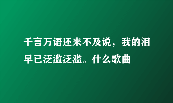 千言万语还来不及说，我的泪早已泛滥泛滥。什么歌曲