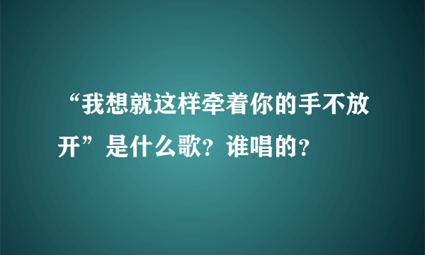 “我想就这样牵着你的手不放开”是什么歌？谁唱的？