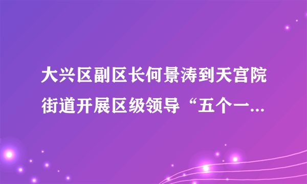 大兴区副区长何景涛到天宫院街道开展区级领导“五个一”慰问调研