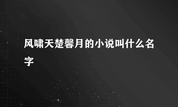 风啸天楚馨月的小说叫什么名字