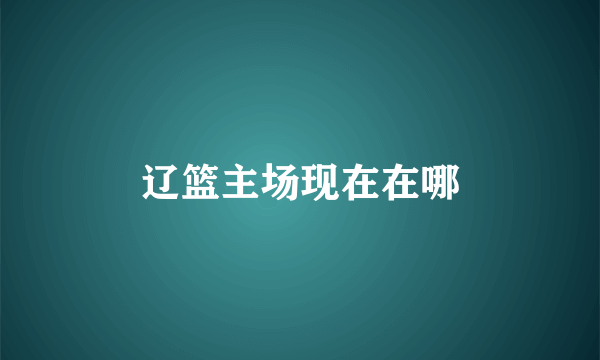 辽篮主场现在在哪