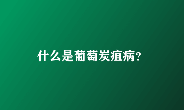什么是葡萄炭疽病？