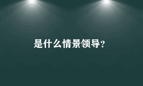 是什么情景领导？